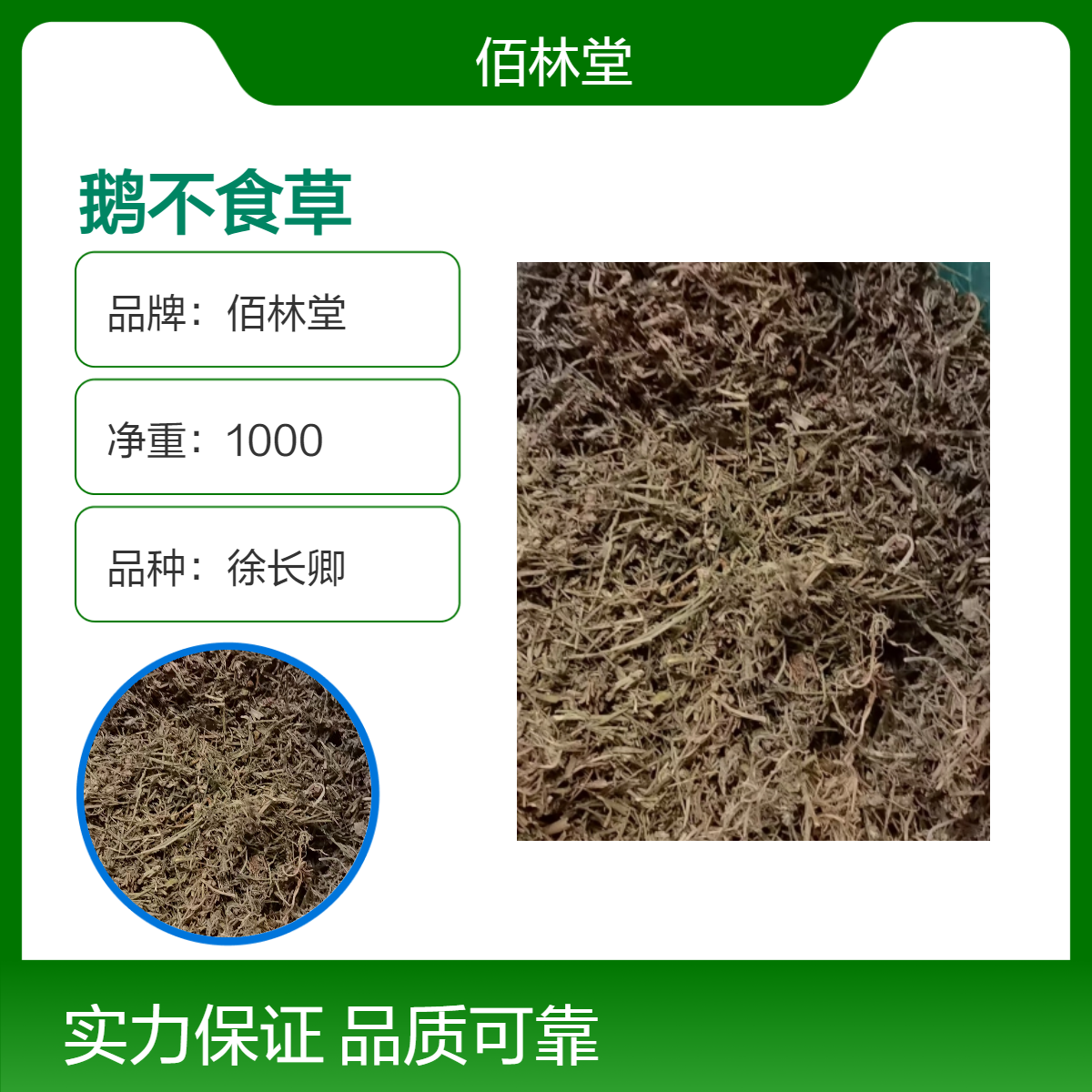 佰林堂鹅不食草中药材一级球子草初级农产品 阴凉干燥储存 正宗新货