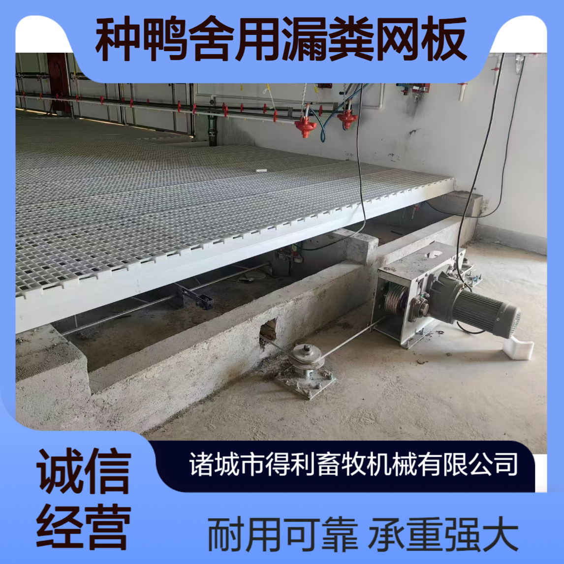 养鸭漏粪板 种鸭舍用漏粪网板 承重能力强耐用的网床