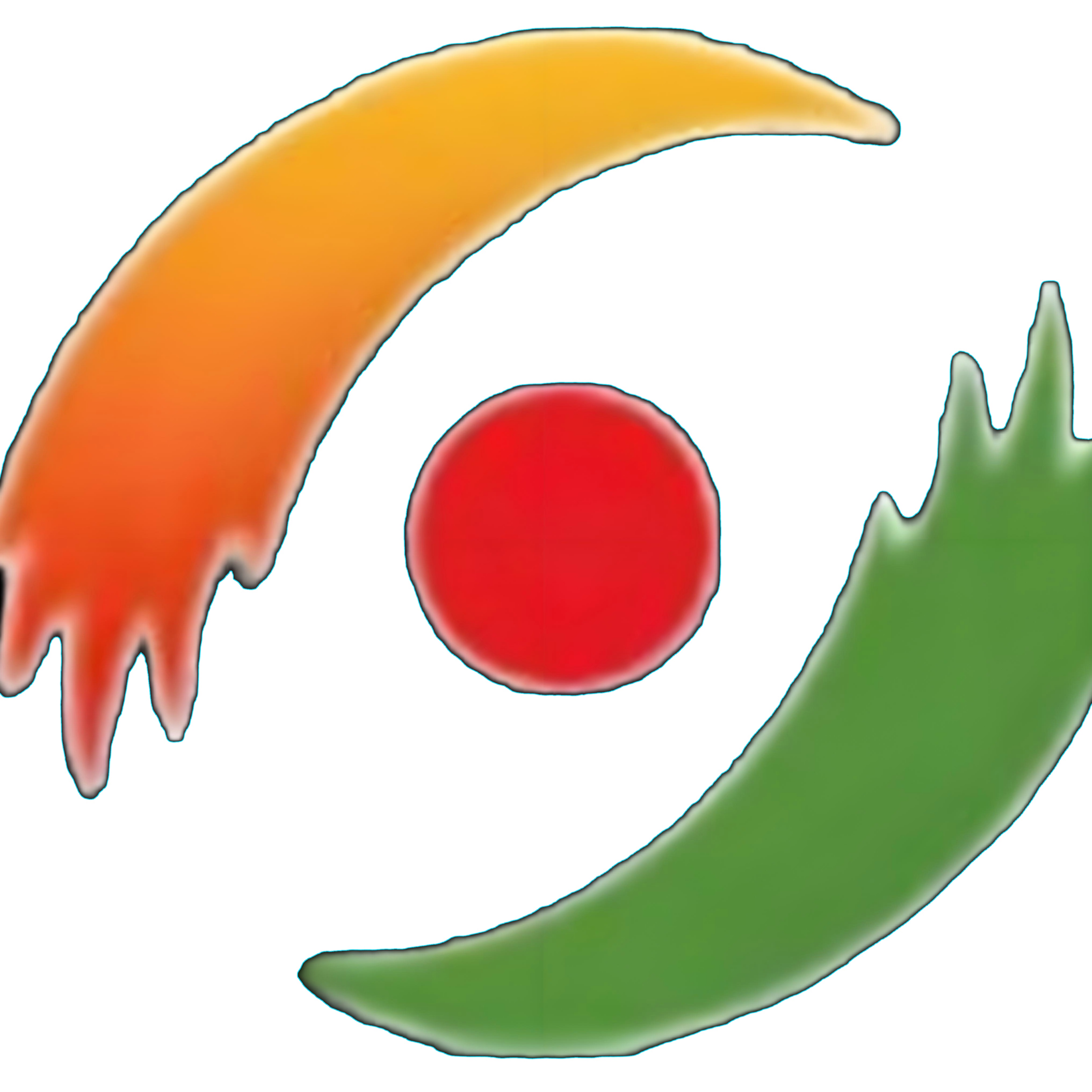 山东航普网络科技有限公司 - 公司logo