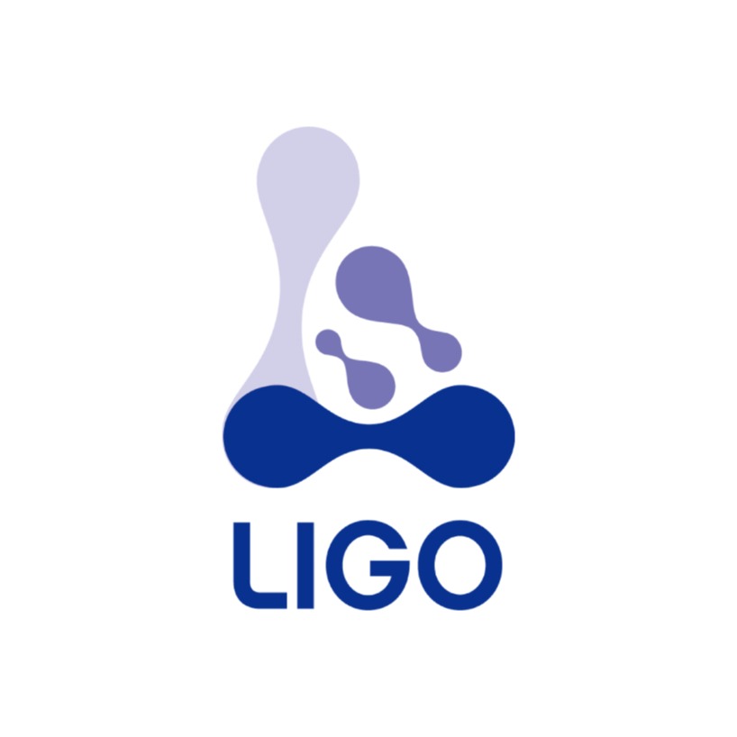 Sichuan Lige New Materials Co., Ltd - Company Logo