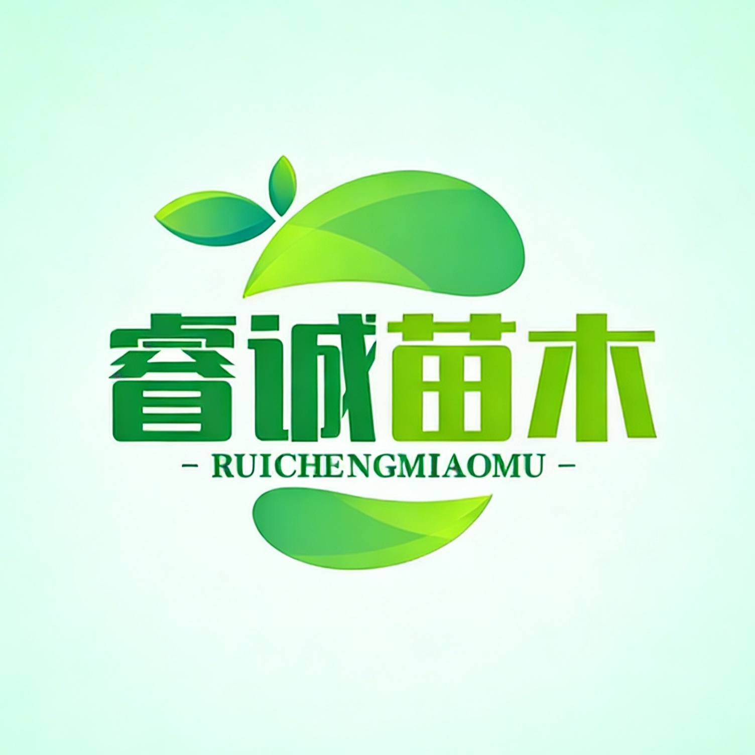 曲阳县睿诚苗木种植有限公司