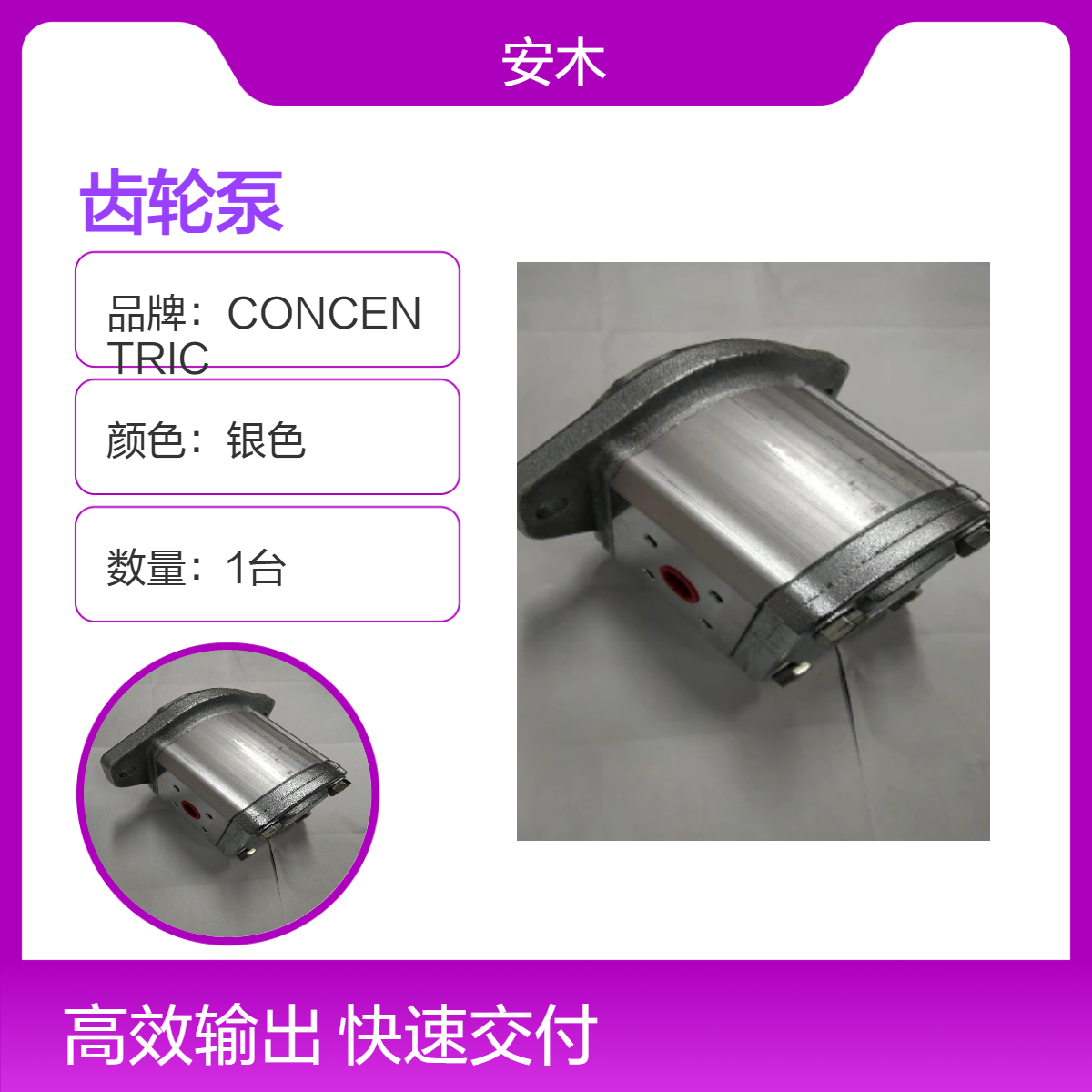 德国康斯克油泵CONCENTRIC齿轮泵WP09A1B-190-R-06-NB-160-N