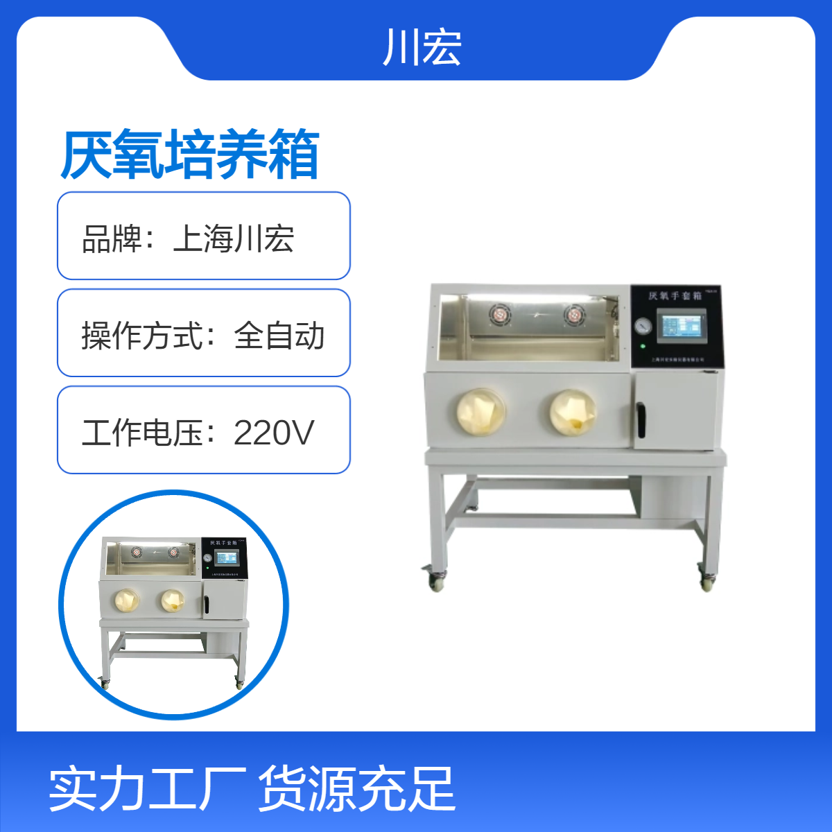 厌氧手套箱YQX-II实验室微需氧细菌培养环境培养箱