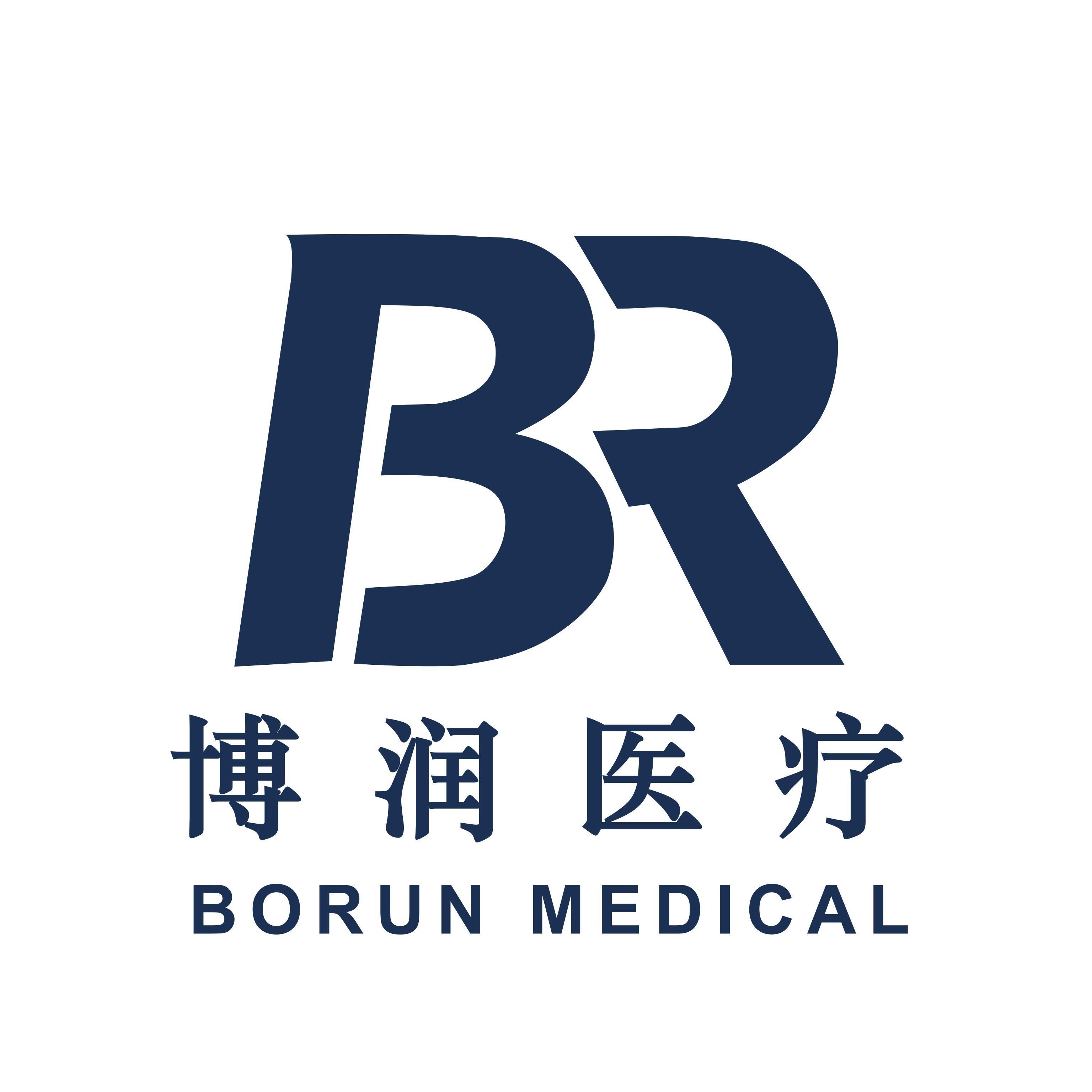 济宁博润医疗设备有限公司 - 公司logo