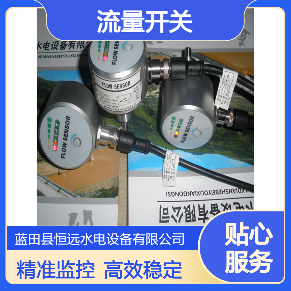 水电站冷却水监控FT11N示流器 流量开关FT11N-G12HDPRQ