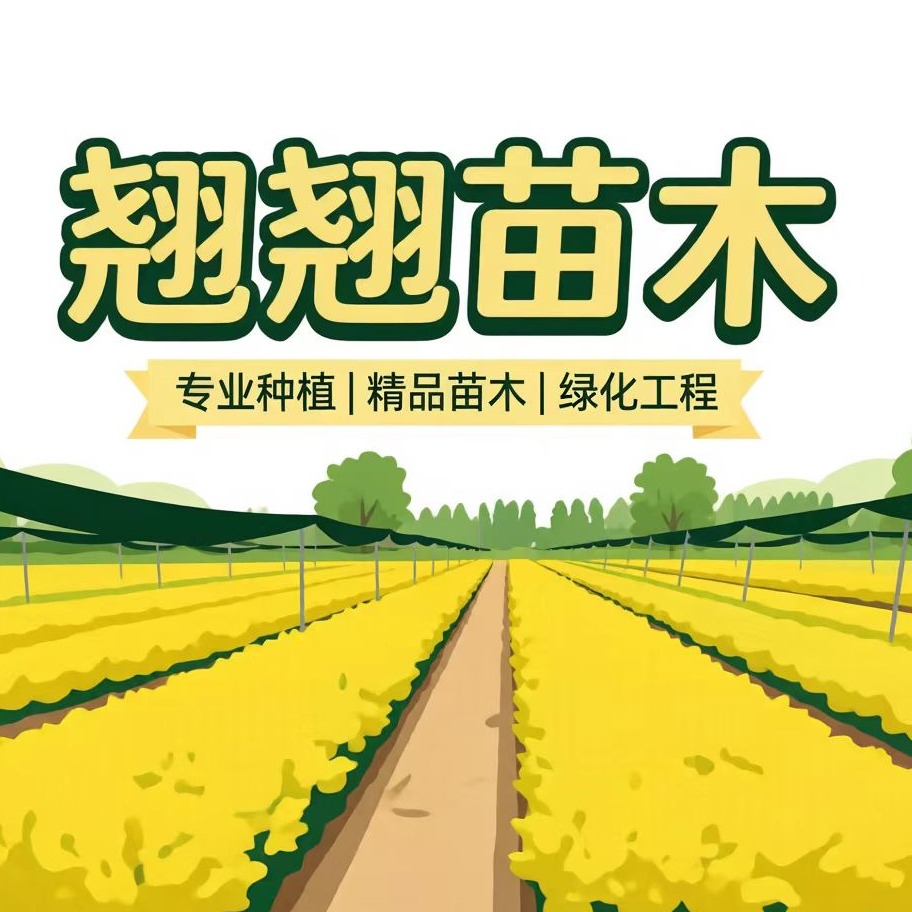 沭阳县翘翘绿化苗木园艺场 - 公司logo