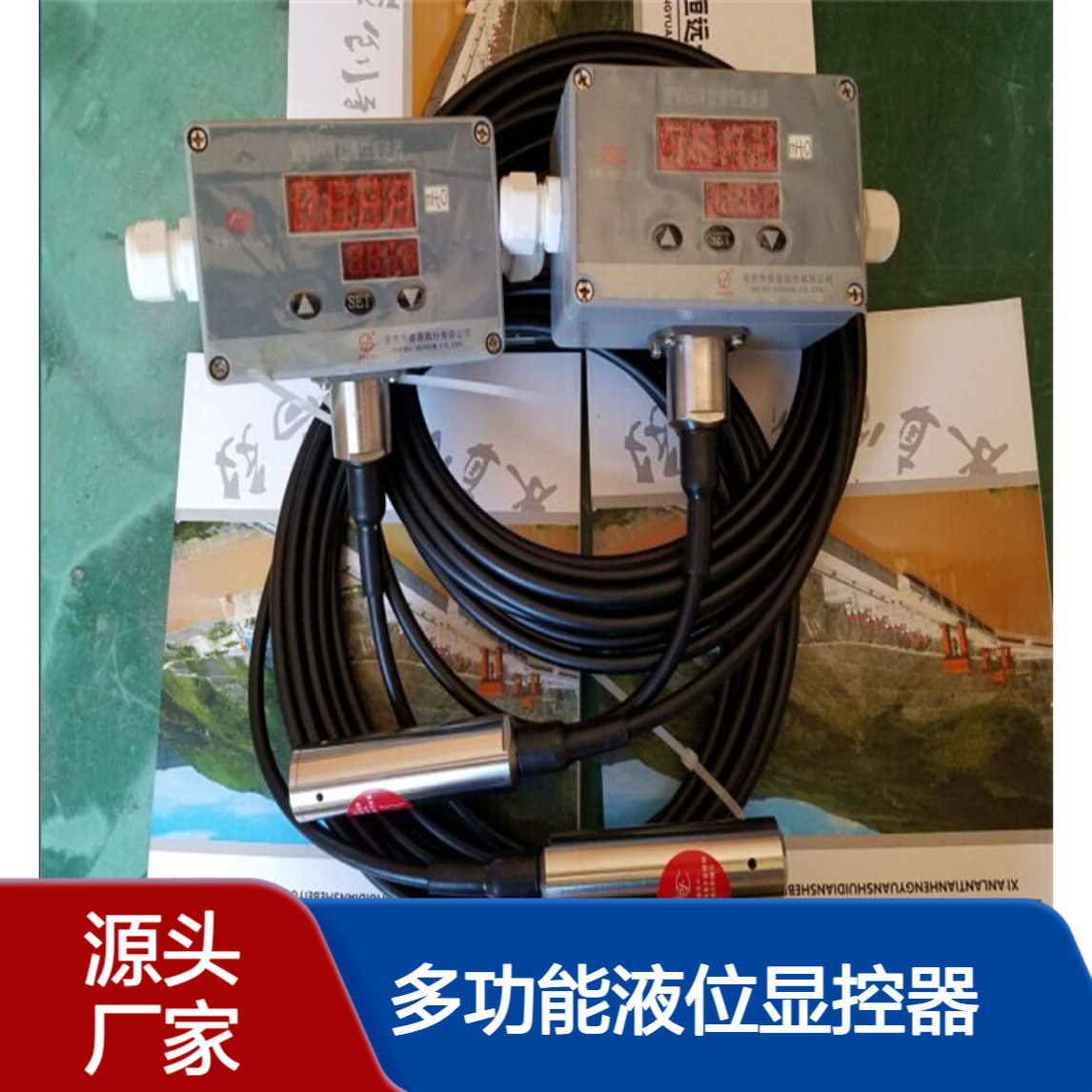 多功能液位显控器MPM460W MPM460WK铠装油位变送器