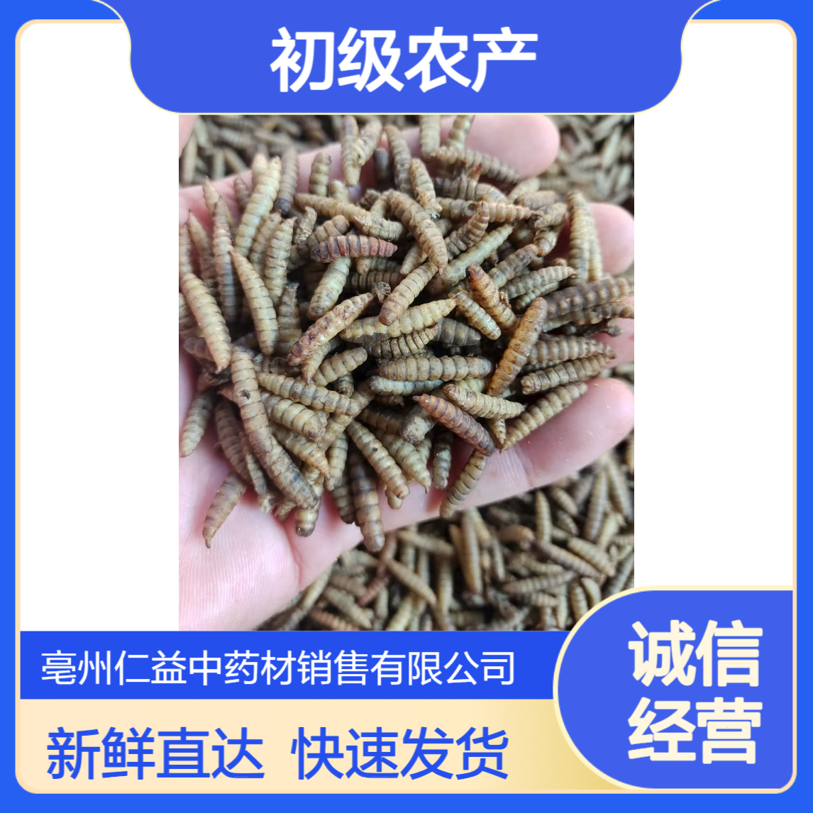 仁益五谷虫1000g袋装 初级农产品 阴凉干燥保存 24小时内发货