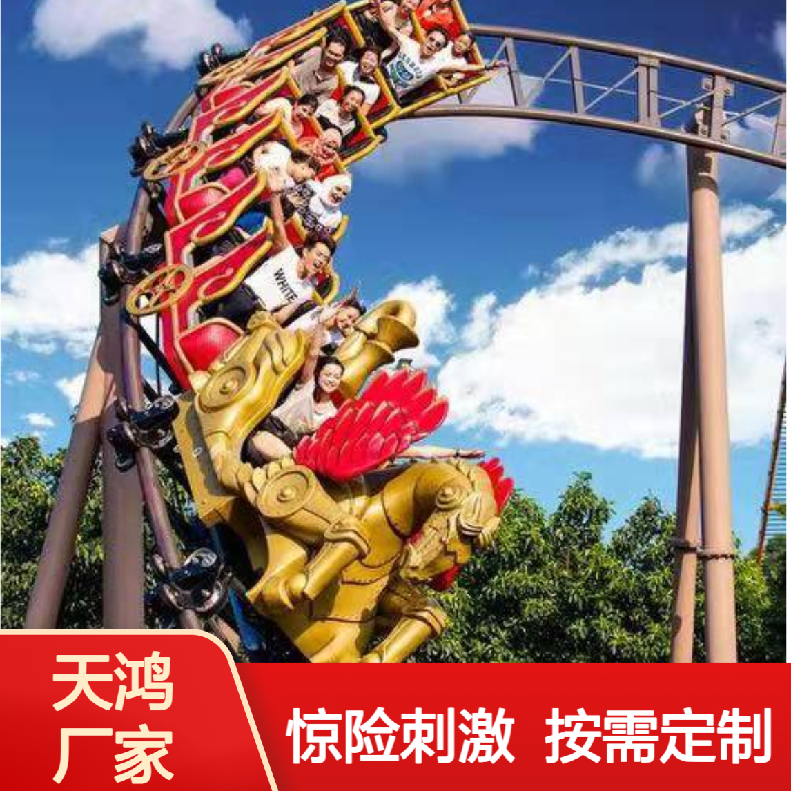 环形过山车 厂家定制游乐园大型游乐设备 惊险刺激 娱乐设施