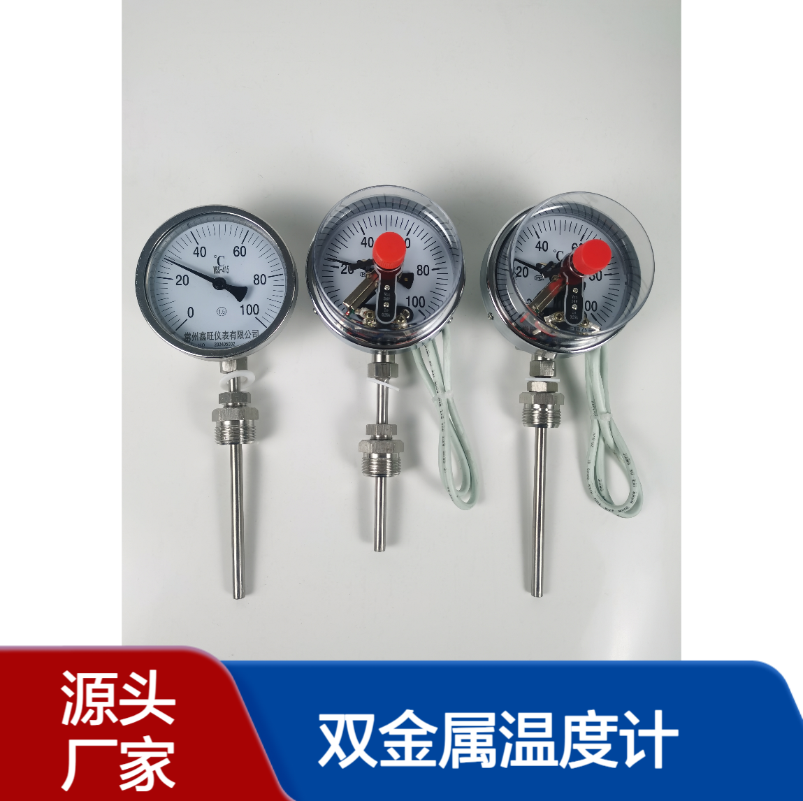 鑫旺仪表WSS-412径向型双金属温度计 不锈钢接触式测温100℃范围