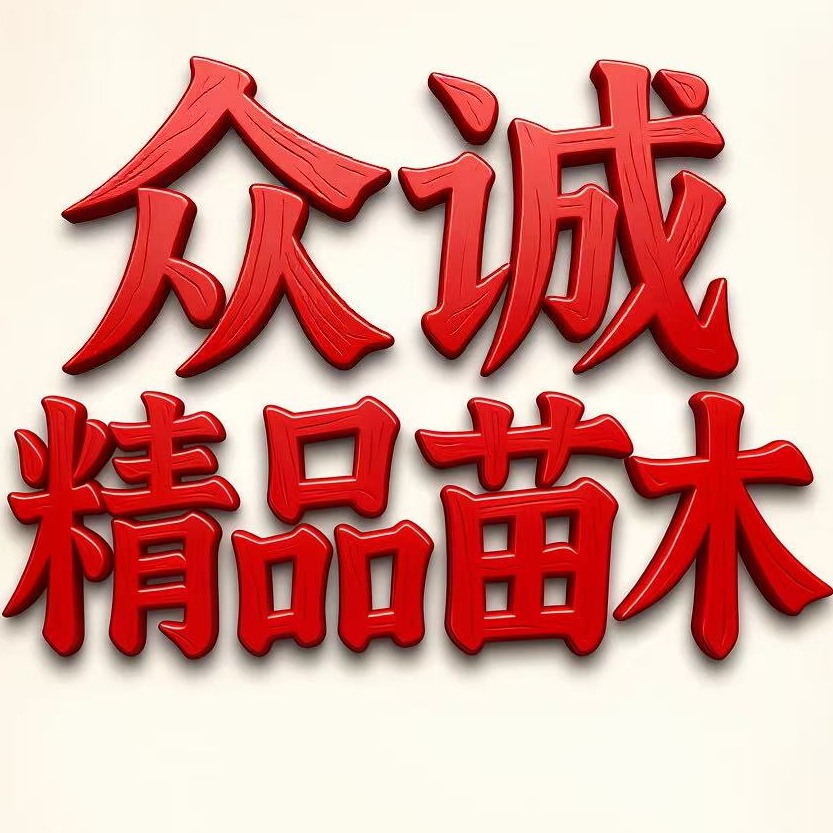 兴城市众诚精品苗木农场