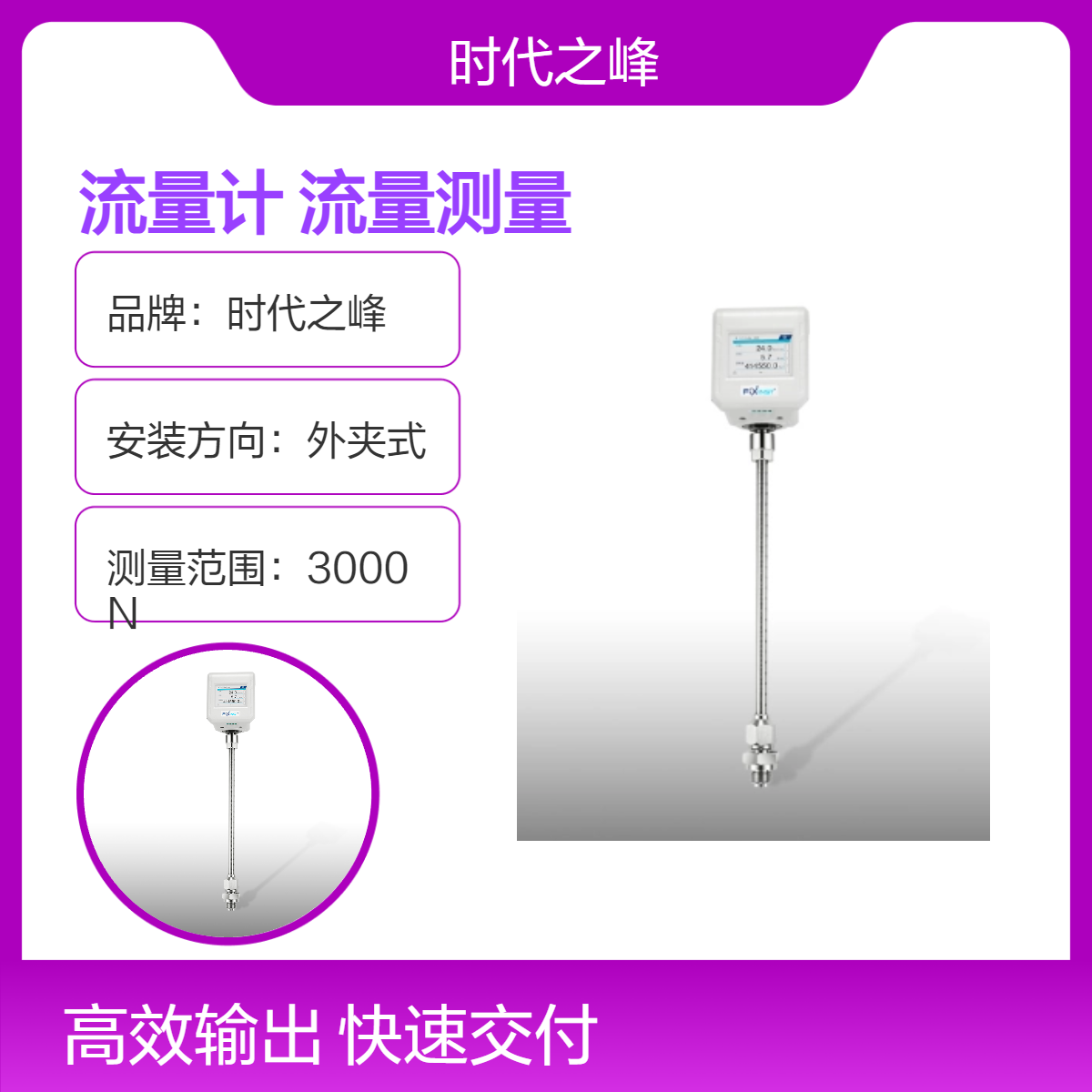 F211A热式质量流量计F211B基于热式原理的流量测量技术超宽流量