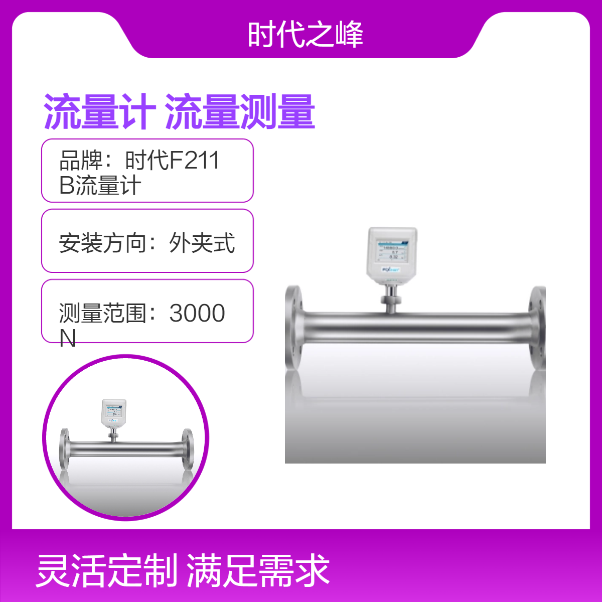 F212A管段式热式质量流量计F212B螺纹法兰管道式压缩气体流量测试