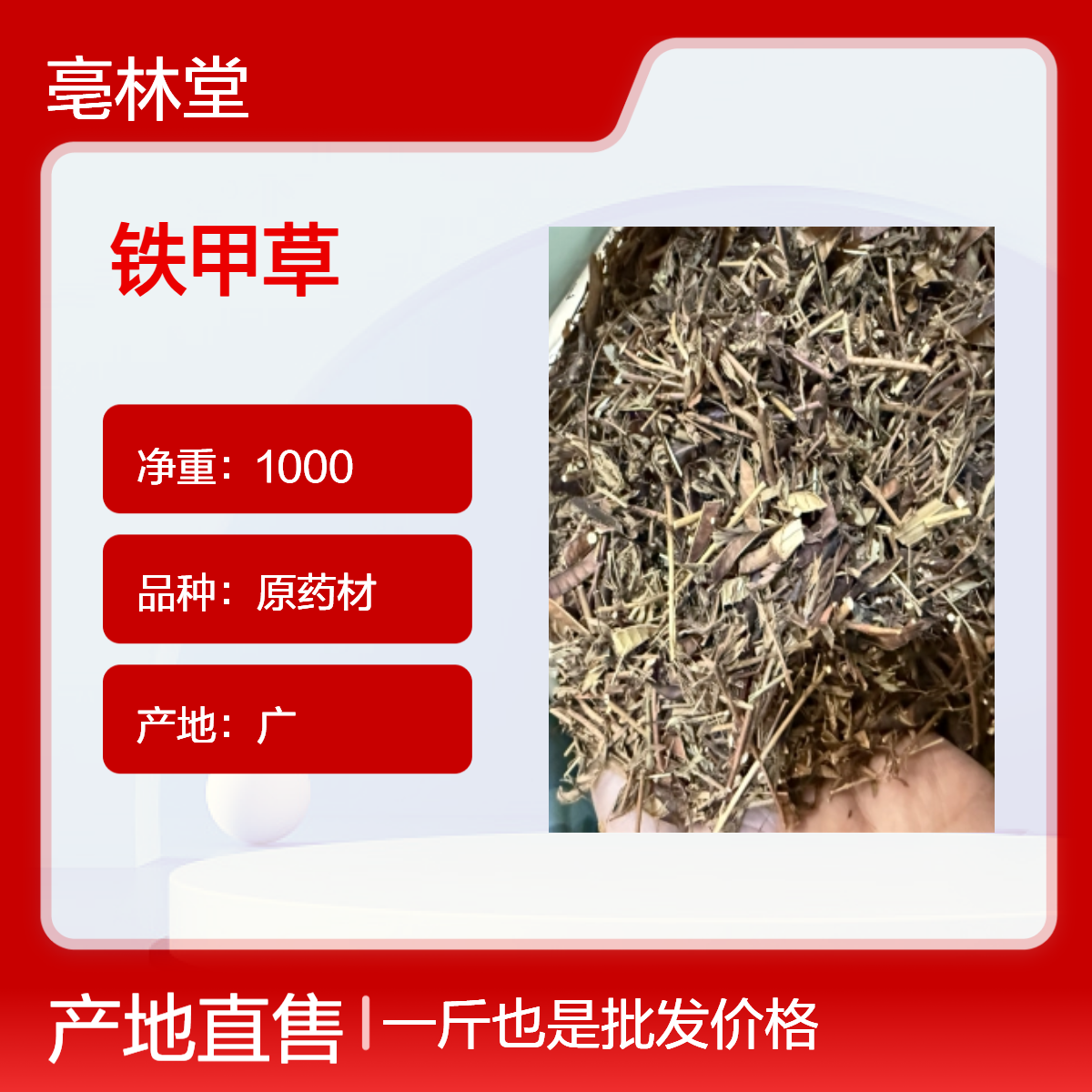 亳林堂一级货 铁甲草 含量高 非种植 即见即所得 产地直售 包邮