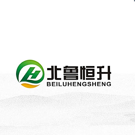 山东北鲁恒升化工有限公司