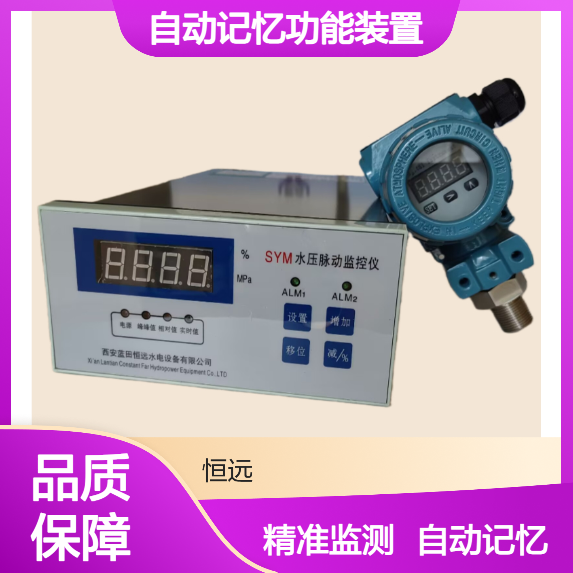 自动记忆功能装置SYM水压脉动监测装置 压力脉动监测仪