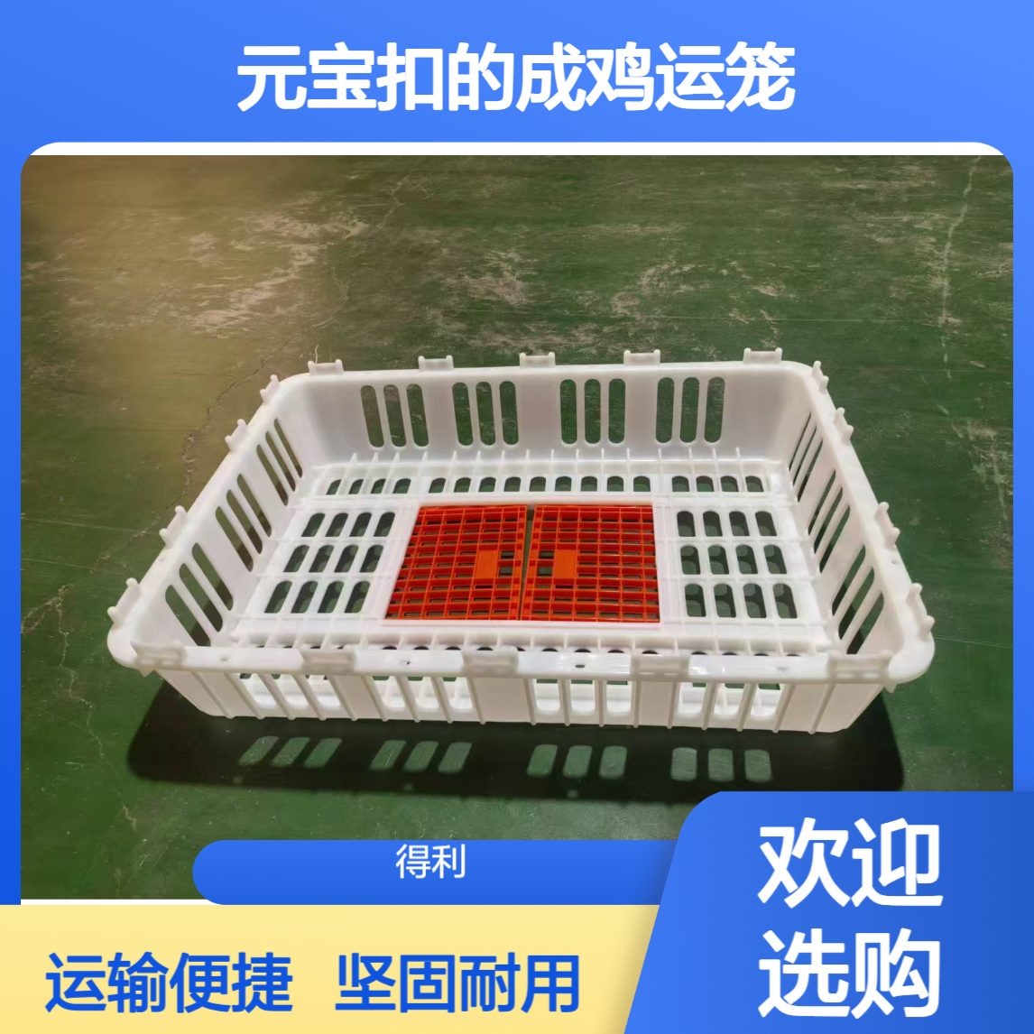 元宝扣的成鸡运笼 鸡笼子 塑料制品鸡运输笼 坚固耐用