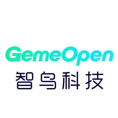 武汉智鸟科技有限责任公司 - 公司logo