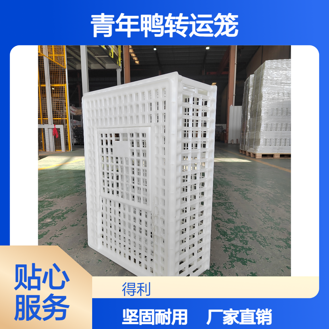 成鸡运输笼 青年鸡笼子青年鸭转运笼 厂家供应