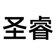 宁波圣睿智能科技有限公司 - 公司logo