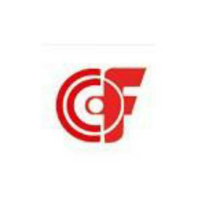 安徽长峰特种电缆有限公司 - 公司logo