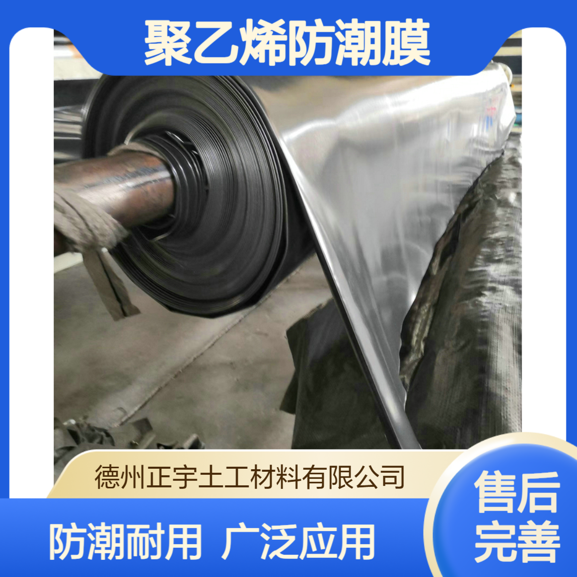 山东PE商家 0.3mm聚乙烯防潮膜 厂房地坪 粮仓冷库 塑料薄膜
