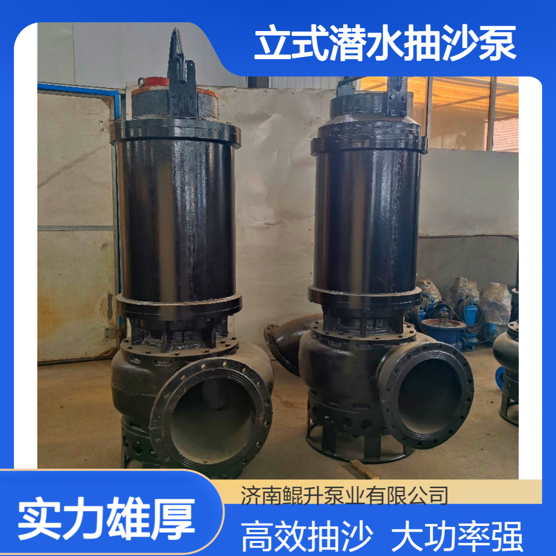 立式潜水抽沙泵 池塘清淤尾矿抽砂泵 大功率潜水型吸沙泵