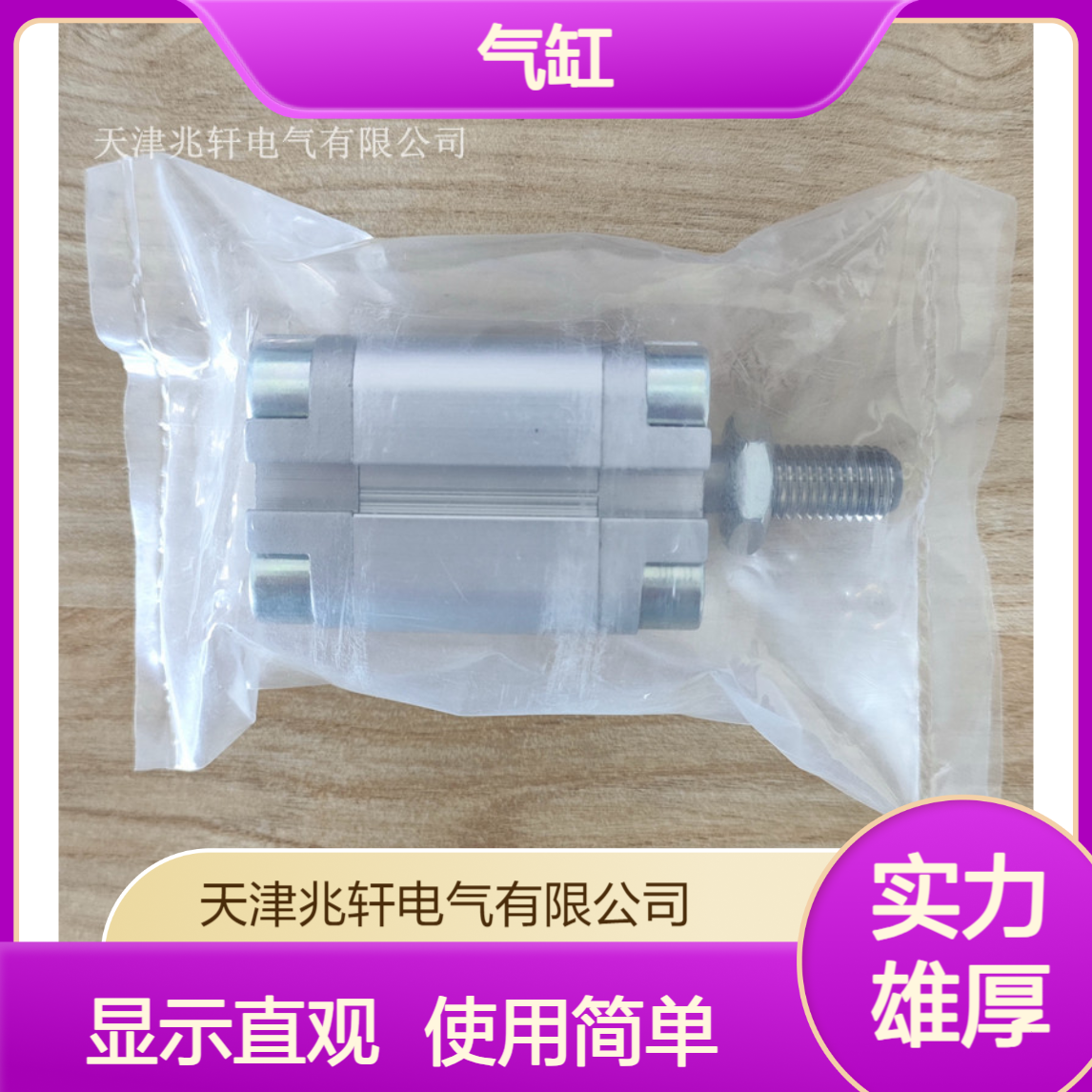 DSNU-10-10-P-A，19183 气缸 显示直观 使用简单体积小巧