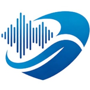 常州青盛声学环保科技有限公司 - 公司logo
