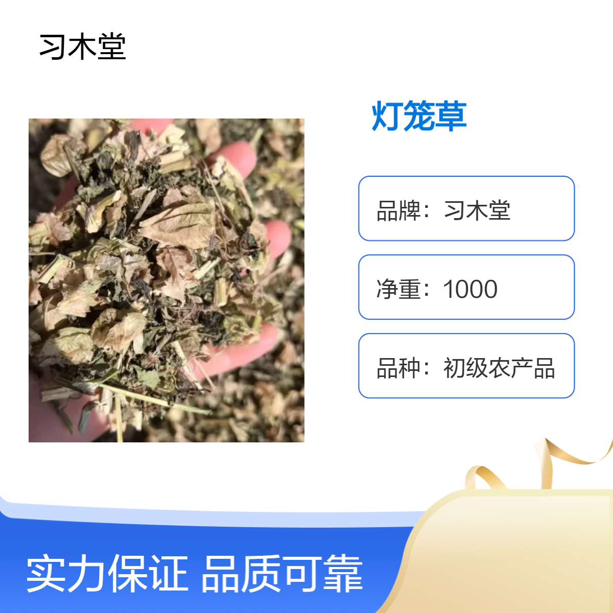 灯笼草 新货 批发 大货 供应 品质正宗 规格齐全 产地直售