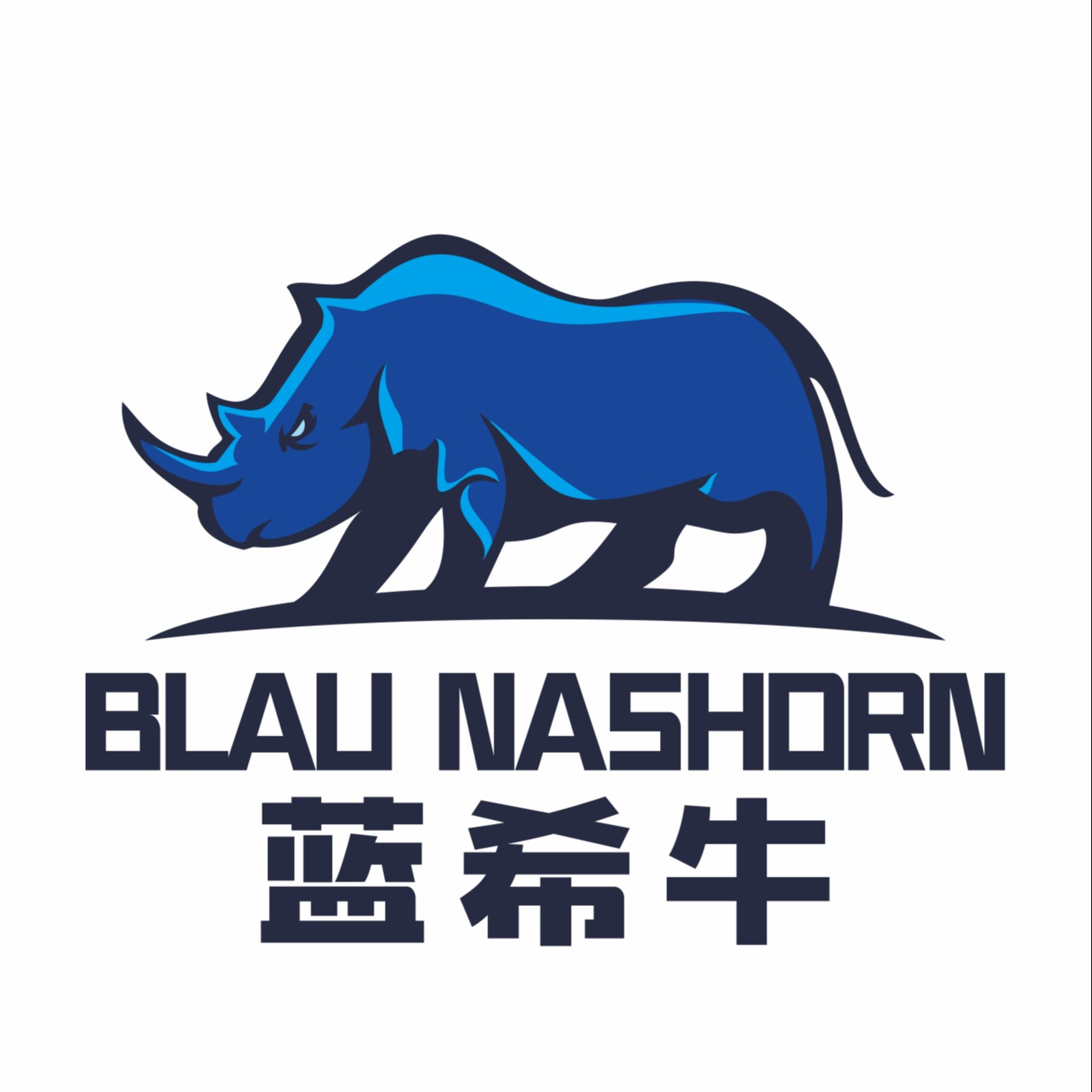 河北壬昌科技有限公司 - 公司logo