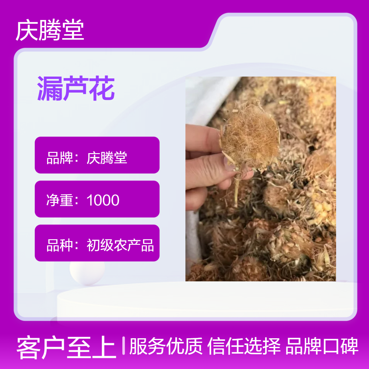 批发 漏芦花 当年新货 无硫 自然晒干 保质保量 原形态 干货