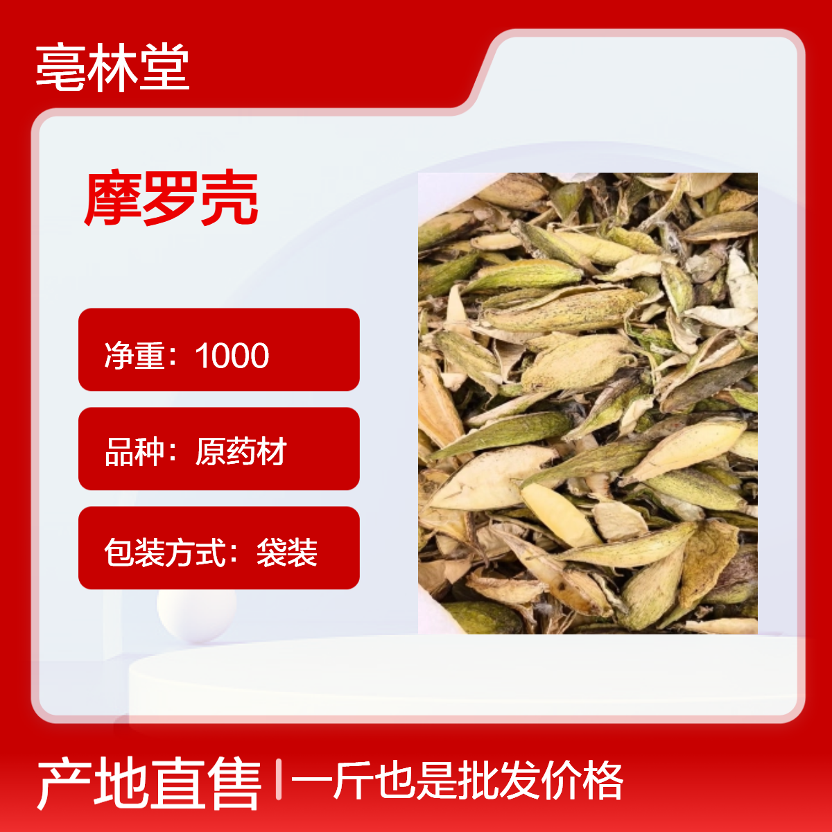 亳林堂 摩罗壳 精选货 含量高 保真保量 即见即所得 一斤包邮