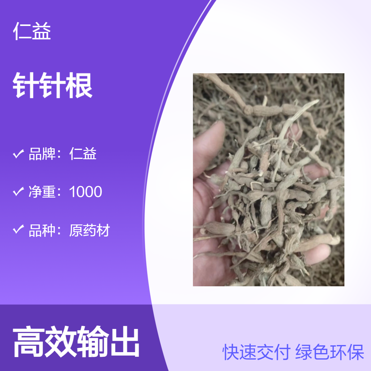 仁益品牌针针根 初级农产品选货 1000g阴凉干燥保存 医生适用原药材