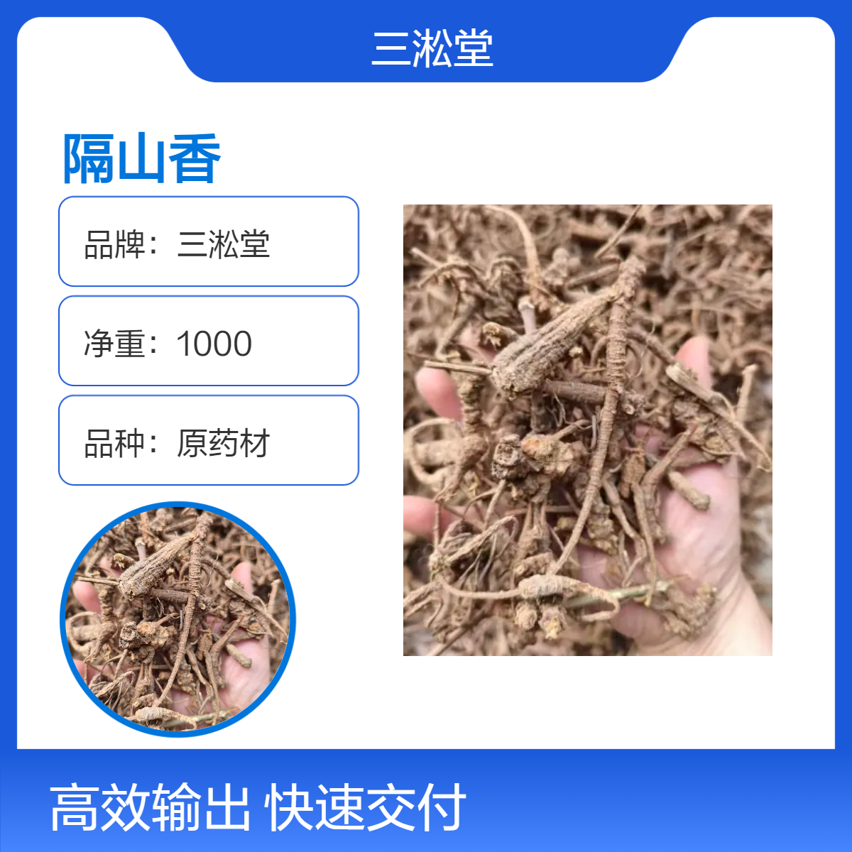 三淞堂一级隔山香原药材 1000g阴凉干燥储存 传统药用优质选材