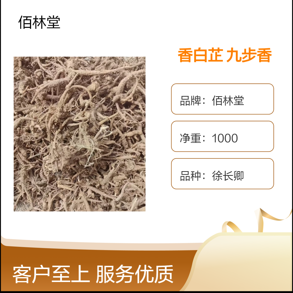 佰林堂香白芷 九步香 一级中药材 批发大量现货 初级产品 阴凉干燥储存