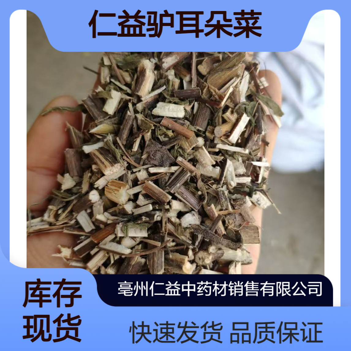 仁益驴耳朵菜 还阳草原药材选货 初级农产品 阴凉干燥保存 24小时发货
