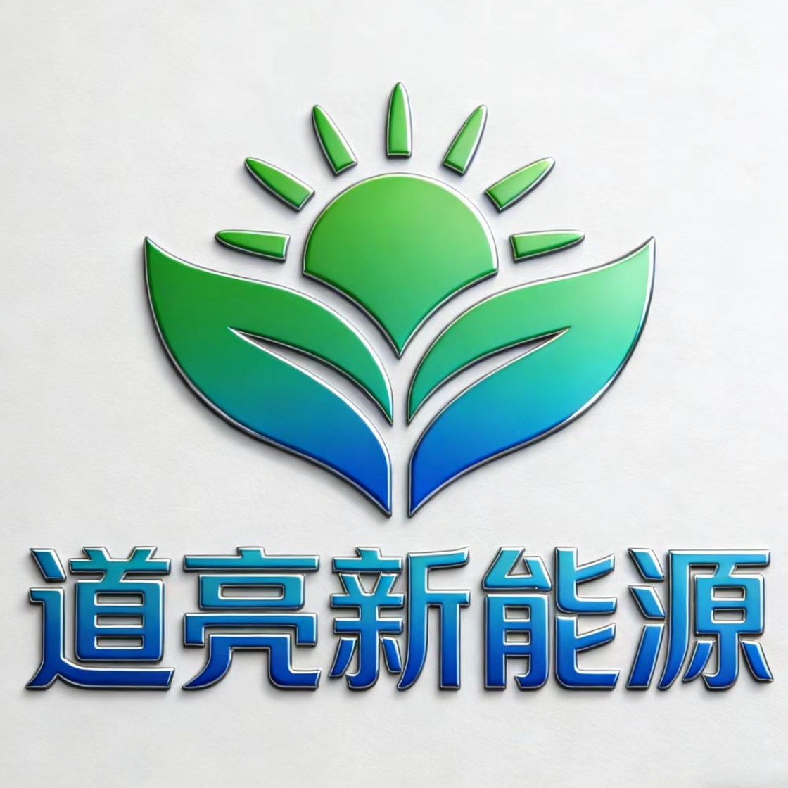 宁波市道亮再生资源有限公司 - 公司logo