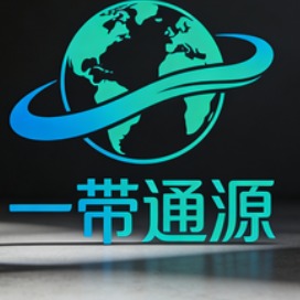 天津一带通源科技有限公司 - 公司logo