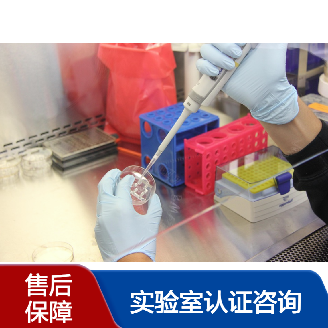 江苏CNAS实验室认可咨询 17025实验室认证认可办理 取证后体系维护