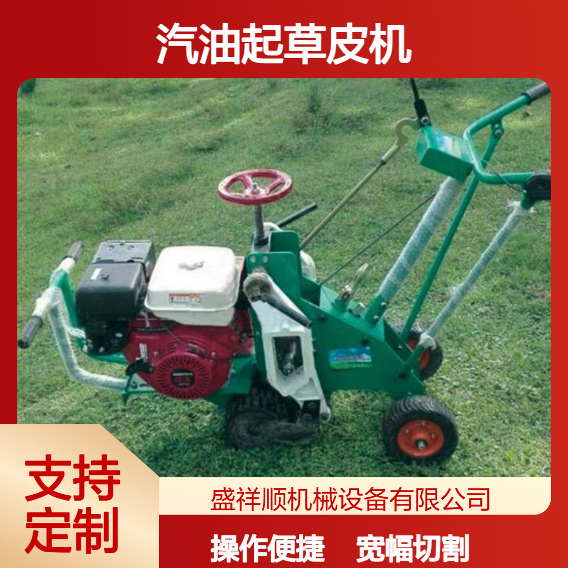 盛祥顺 汽油起草皮机 宽幅切割简易操作 自动行走转弯方便