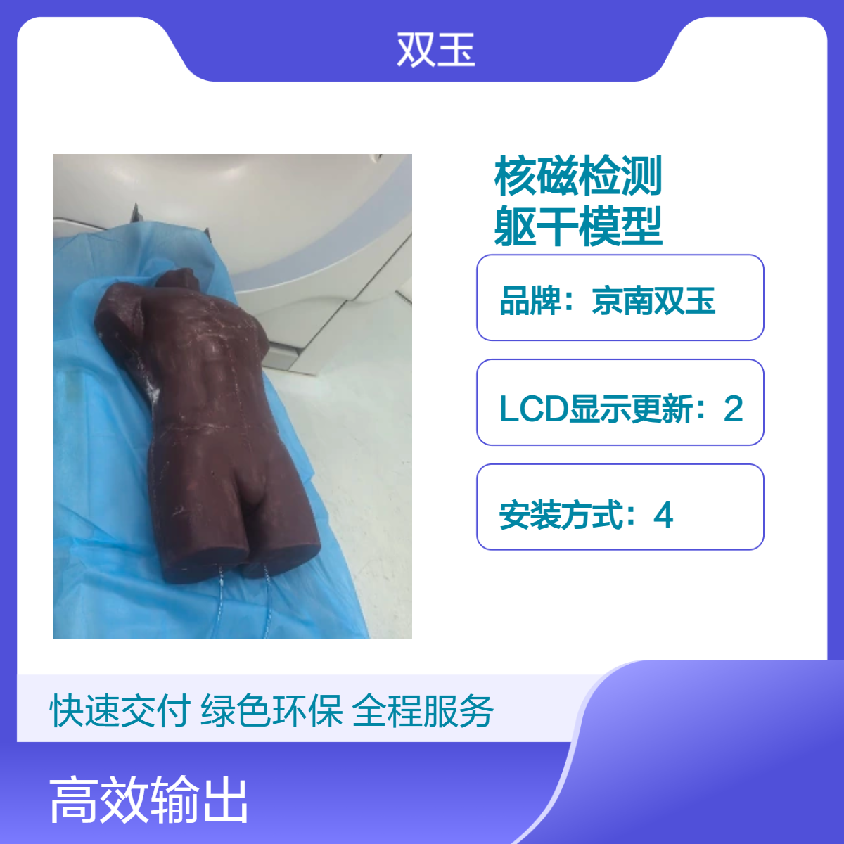 呼吸运动模体核磁检测呼吸运动模拟躯干模型定做