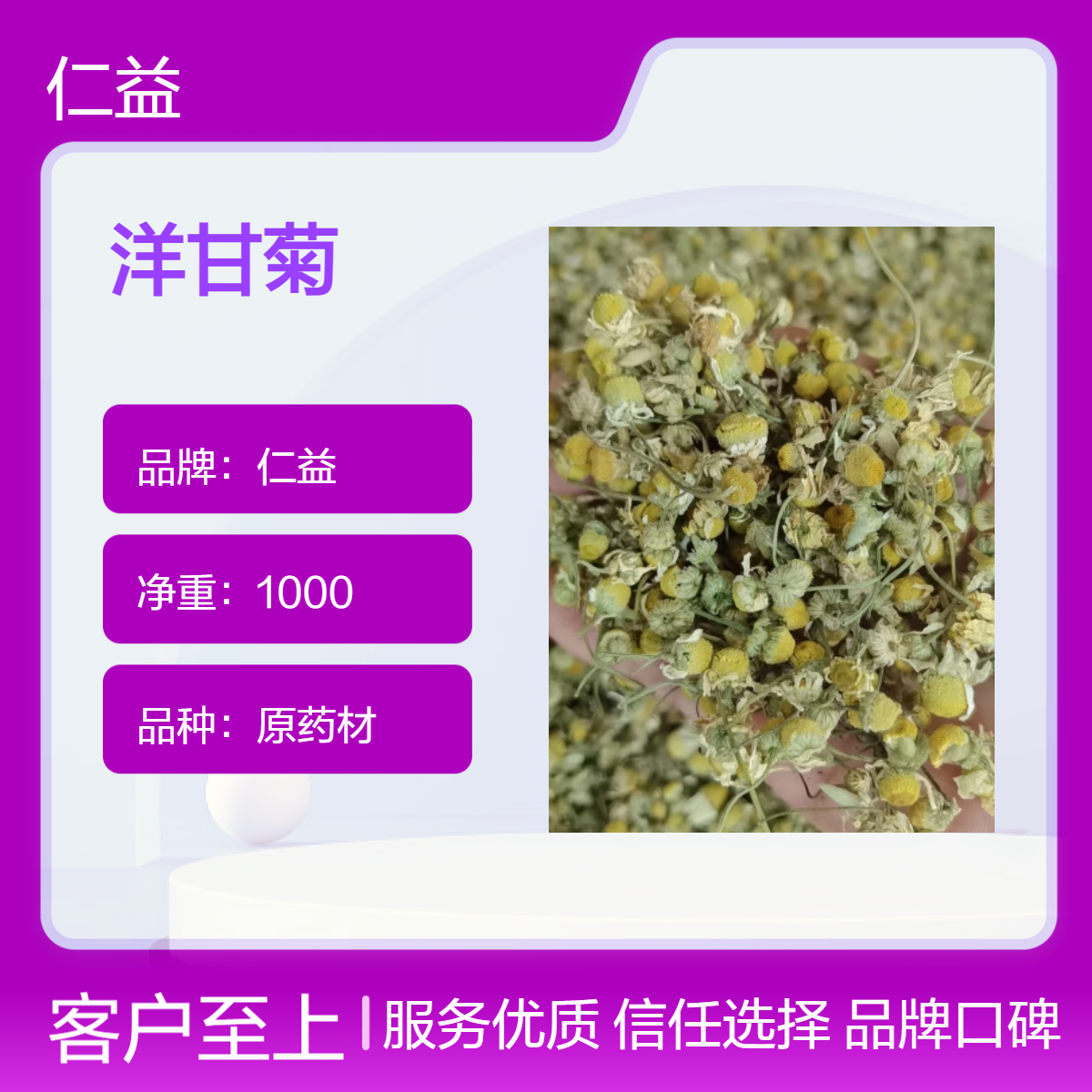 仁益洋甘菊初级农产品 选货规格袋装 阴凉干燥保存 24小时内发货