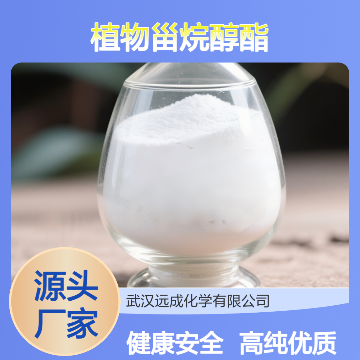 植物甾烷醇酯98% 植物甾醇酯 新资源食品原料 194673-84-2