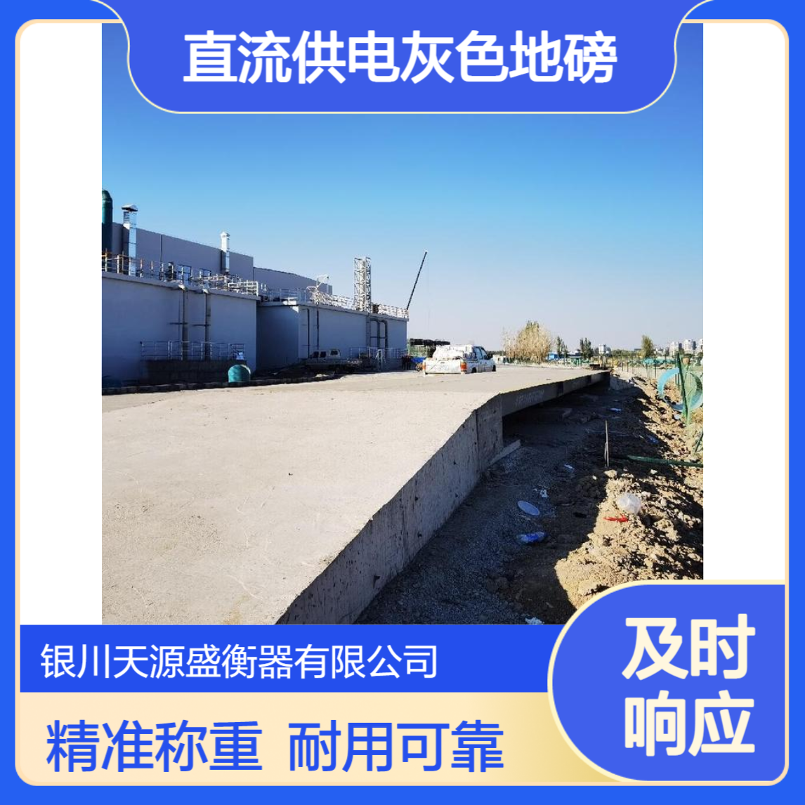 天源盛衡器 220V直流供电灰色地磅 直视称重设备