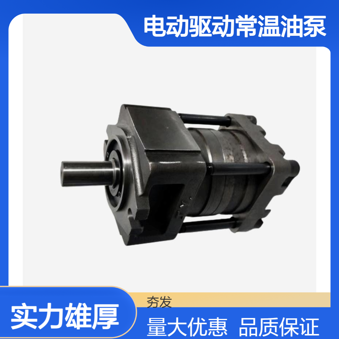 诚捷液压油泵NT3-C63F系列 球墨铸铁材质 电动驱动常温油泵 库存充足