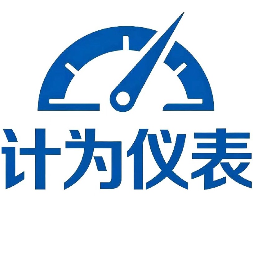 淮安计为仪表有限公司 - 公司logo
