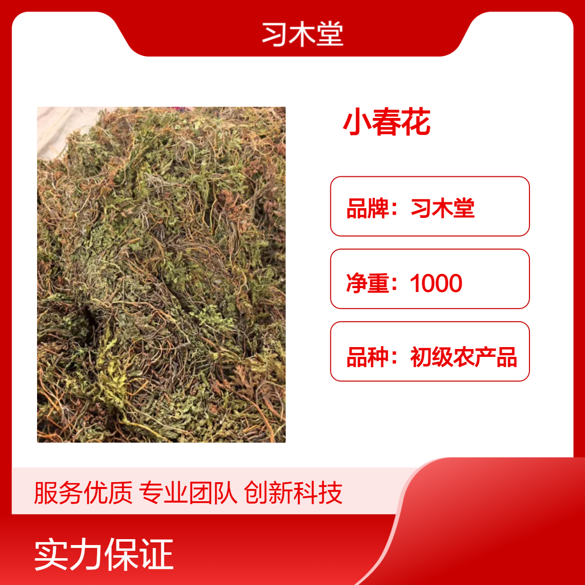 习木堂 正宗 小春花 一朵云 批发 当季 新货 无硫 干净 1000g