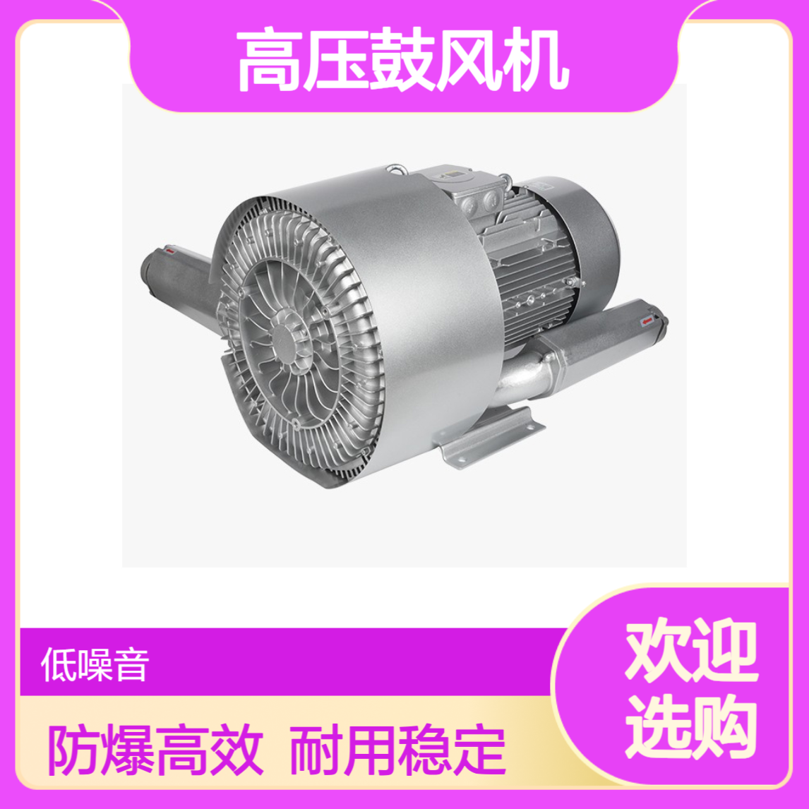 2HB920-7HH47-25KW防爆高压鼓风机 双叶轮旋涡气泵 污水泵