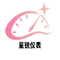 Xingrui (Liaoyang) Automation Instrument Co., Ltd - Company Logo